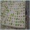 green leaf vegetables plant seeding sponge