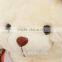 Yangzhou Plush Toy Factory Supply Elegant Teddy Bear Toy With Dress