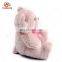 China ICTI stuffed toys manufacturer custom names cute 20cm pink and brown small plush teddy bear with ribbon