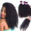 Natural Wave  Human Hair Brazilian Aligned Weave Curly Human Hair