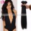 High Quality Virgin Wholesale Human Hair Human Hair Extension virgin brazilian hair