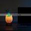 Newborn Dinosaur 16 Colors LED Night Light Touch Control Home Decoration Lamps