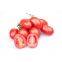 Hybrid Chinese factory supply plum red cherry tomato seeds for planting