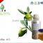 jojoba oil price