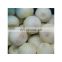 Factory Supply 500g/1kg/2kg/10kg/20kg Yellow or Red Chopped Frozen Onions Shreds Convenient