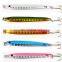 Amazon hot sell Salt Water Sea Fishing Metal Jig  fishing lead lure