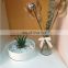 Round Shape White Glazed Ceramic Vase Succulent Planter Pot for Home Decoration