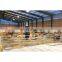 Modern stable projects ready made prefabricated light steel structure frame low cost cowshed