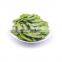 Factory Price IQF Frozen Edamame in Pods