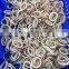 frozen black squid ring indian ocean squid ring skin on competitive price