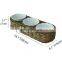 3 Bowl Serving Platter and Tray, Chip and Dip Set with 3 Dip Condiment Bowls for home display Vietnam Supplier