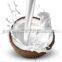 Turn-key engineering coconut water milk extractor extraction processing machinery and equipment for coconut oil production line
