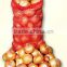 Hot sale small pp onion leno mesh bag, mesh bag for vegetable packing                        
                                                Quality Choice