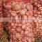 Buyer of Red Garlic