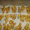 ginger berst quality with good price