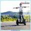 Good quality awesome two wheel electric vehicle electric chariot price