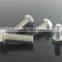 Stainless Steel Bolt