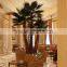 Hotel Decor Big Artificial Palm Tree