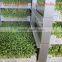 Fodder sprouting machine/barley grass growing machine