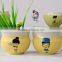hand painting ceramic flower pot outdoor