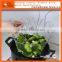 Alibaba Best Seller Stainless Steel Frying Basket /Foldable Kitchen Chef Basket