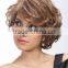 Highlight curly hair wigs for women, short hair style supplier