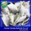 Frozen Pompano Fish 300-400g Frozen Golden Pomfret 300-500g