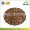 High Purity Roasted Buckwheat Kernel For Wholesale