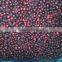 BRC,KOSHER,HALAL IQF fruits