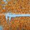 China Hot sale IQF Frozen diced carrot