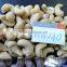 VISIMEX HIGH QUALITY CASHEW NUT
