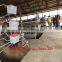 Supply Naira Bank Account Poultry Layer Battery Cage With Automatic Equipment
