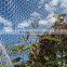 Bird Mist Net