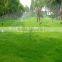 Irrigation system for lawn