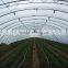 Multi span PE Cover Film PE greemhouse film for vegetable greenhouse