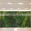 2017 Hot sale manufacturer plastic green wall panels for outdoor or indoor
