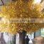 GNW BTR1501 imitation gold leaf artificial golden maple tree sale for decoration