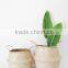 Indoor plants basket/Seagrass storage basket/Seagrass belly basket