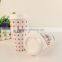 Custom Printing Reusable Starbucks Plastic Coffee Cup with Lid