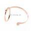 Gold Rose Gold and Silver Circle Bangle Lady Bracelet