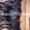 Raw indian temple hair no tangle no shed silk lace closure 6x6