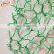 Green anti mole netting protect the grapes from birds