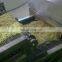 Chinese automatic fried instant noodle making machine