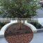 Customized drawing design Corten Steel Tree Grating