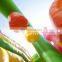 Princess Inflatable Bouncer Castle Slide Girls Jumping Castles Combo
