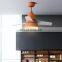 Modern Nordic Colorful Ceiling Fan wi th LED Light Warm White Ceiling Light Home Lights