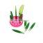 Hot Selling 10 in 1 Salad Tools Fruit Plant Slicer Cutter