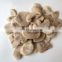 Top Quality Frozen mushrooms Slices  champignon nameko edulis bolitus