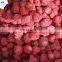 High Quality New Crop BRC Certified America 13 IQF Frozen Strawberry