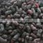 Sinocharm New Crop BRC-A Certified Grown in Greenhouses IQF Frozen Mulberry